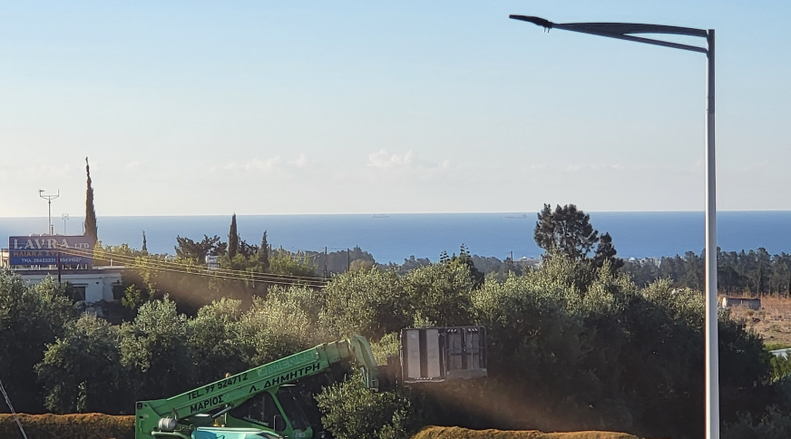 section catalog photo